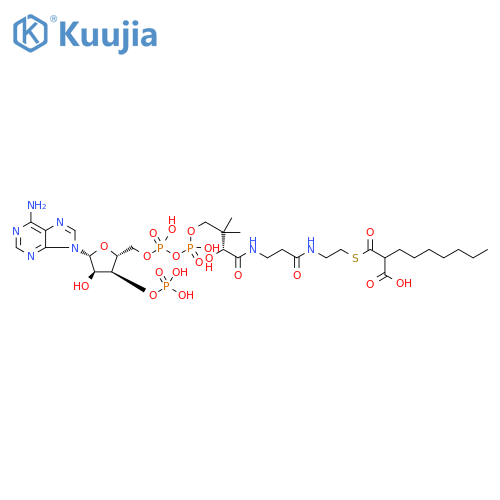 Coenzyme A, S-(hydrogen 2-heptylpropanedioate) structure