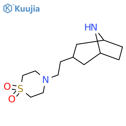 4-(2-{8-Azabicyclo[3.2.1]octan-3-yl}ethyl)-1lambda6-thiomorpholine-1,1-dione structure