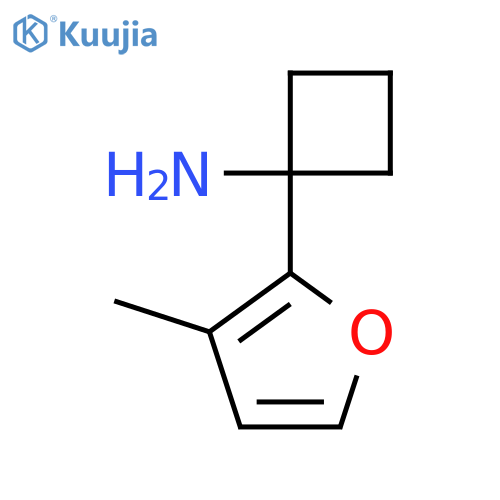 1-(3-methylfuran-2-yl)cyclobutan-1-amine structure