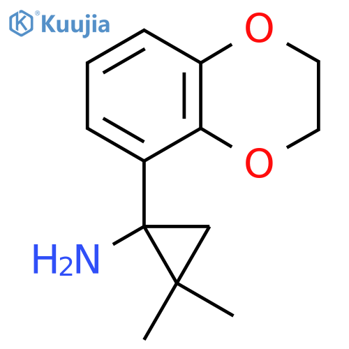 1-(2,3-dihydro-1,4-benzodioxin-5-yl)-2,2-dimethylcyclopropan-1-amine structure