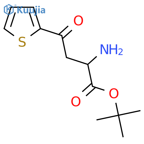 Tert-butyl 2-amino-4-oxo-4-(thiophen-2-yl)butanoate structure