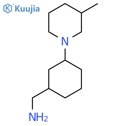 [3-(3-Methylpiperidin-1-yl)cyclohexyl]methanamine structure