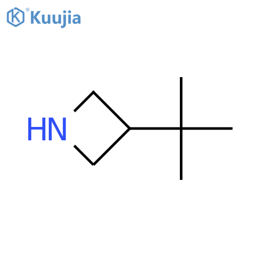 3-tert-butylazetidine structure