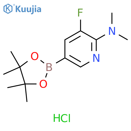 2-(N,N-Dimethylamino)-3-fluoropyridine-5-boronic acid pinacol ester hydrochloride structure