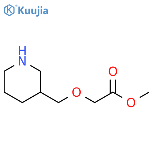 methyl 2-(piperidin-3-yl)methoxyacetate structure