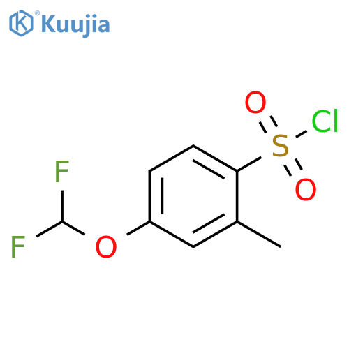 4-(difluoromethoxy)-2-methylbenzene-1-sulfonyl chloride structure