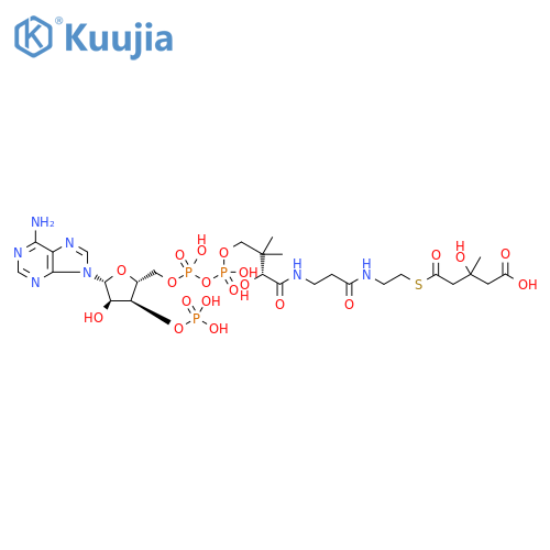 HMG-CoA structure