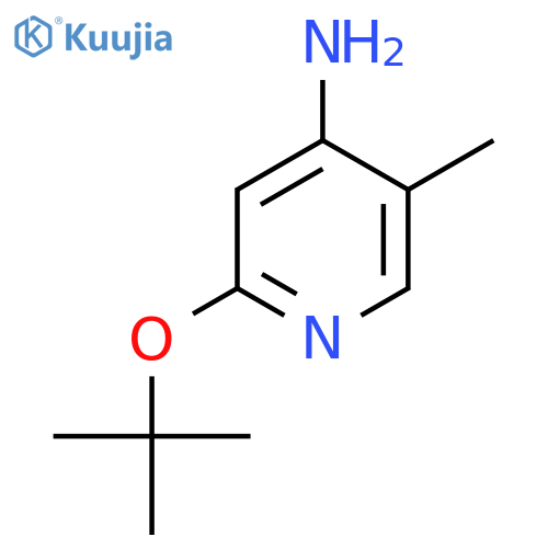 2-(tert-butoxy)-5-methylpyridin-4-amine structure