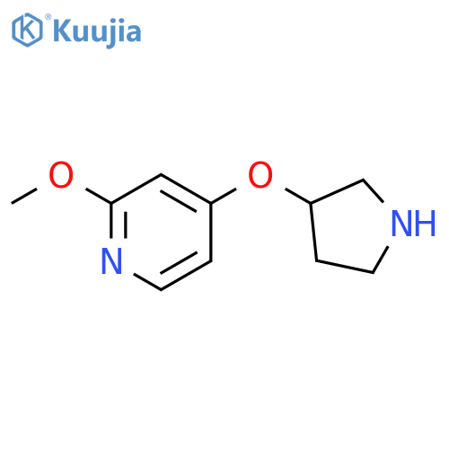 2-methoxy-4-(pyrrolidin-3-yloxy)pyridine structure