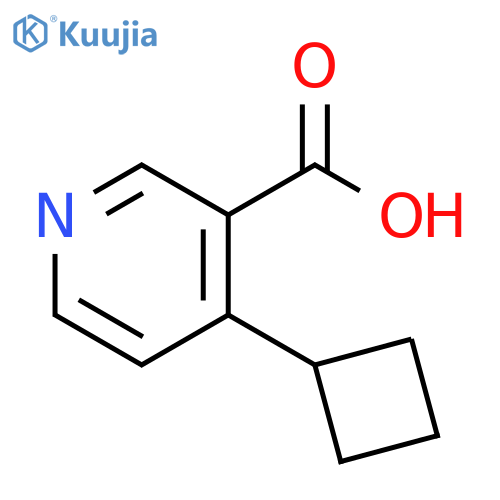 4-cyclobutylpyridine-3-carboxylic acid structure