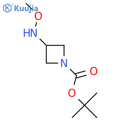 Tert-butyl 3-(methoxyamino)azetidine-1-carboxylate structure