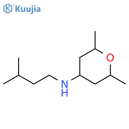 2,6-dimethyl-N-(3-methylbutyl)oxan-4-amine structure