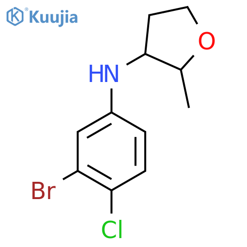 N-(3-Bromo-4-chlorophenyl)-2-methyloxolan-3-amine structure