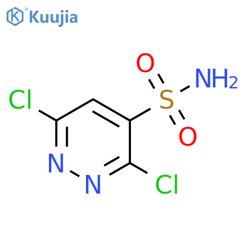 3,6-dichloropyridazine-4-sulfonamide structure