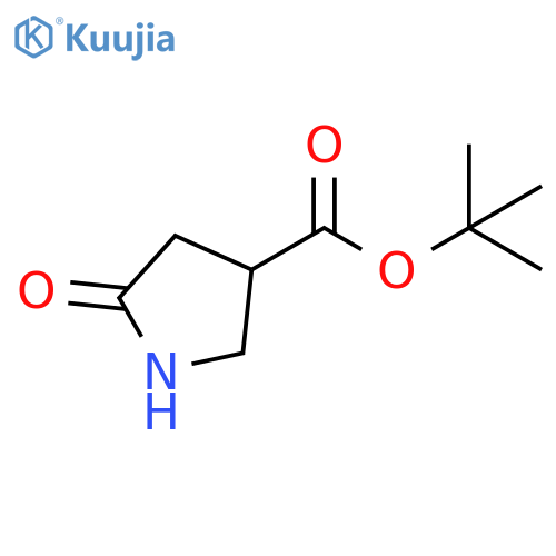 tert-butyl 5-oxopyrrolidine-3-carboxylate structure