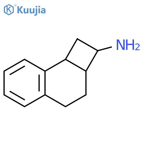 1H,2H,2aH,3H,4H,8bH-cyclobutaanaphthalen-2-amine structure