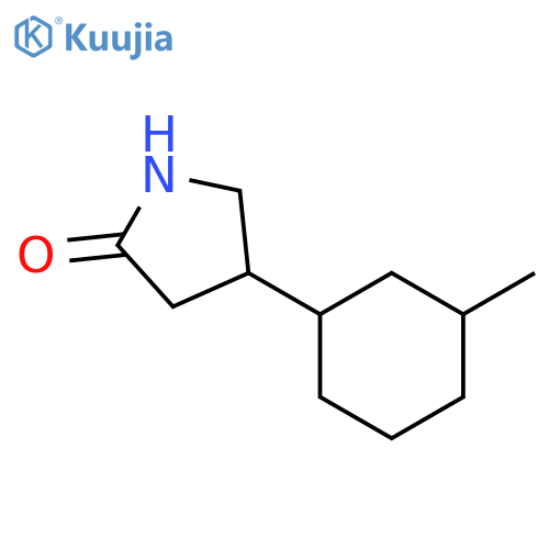 4-(3-methylcyclohexyl)pyrrolidin-2-one structure