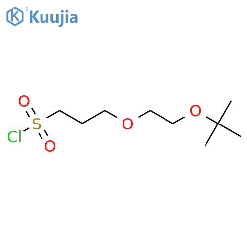 3-2-(tert-butoxy)ethoxypropane-1-sulfonyl chloride structure