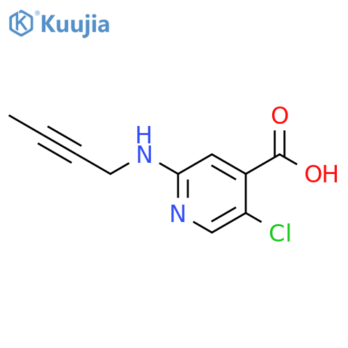 2-(but-2-yn-1-yl)amino-5-chloropyridine-4-carboxylic acid structure