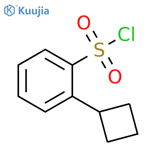 2-cyclobutylbenzene-1-sulfonyl chloride structure
