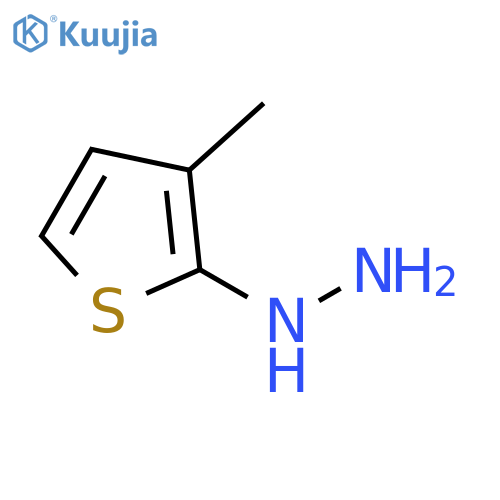 (3-methylthiophen-2-yl)hydrazine structure