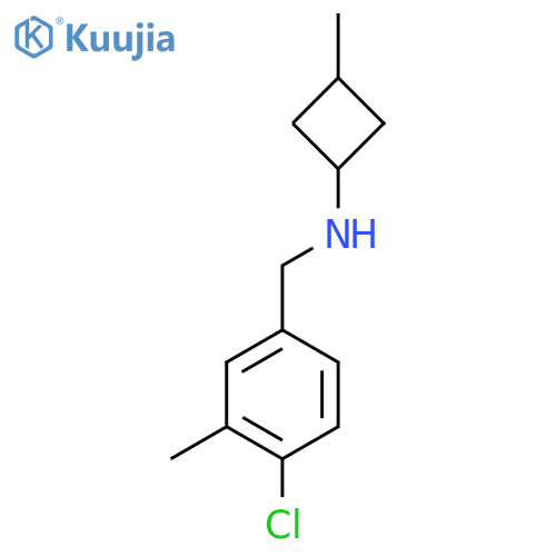 N-(4-chloro-3-methylphenyl)methyl-3-methylcyclobutan-1-amine structure