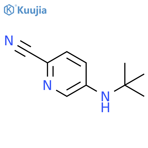 5-(tert-butylamino)pyridine-2-carbonitrile structure