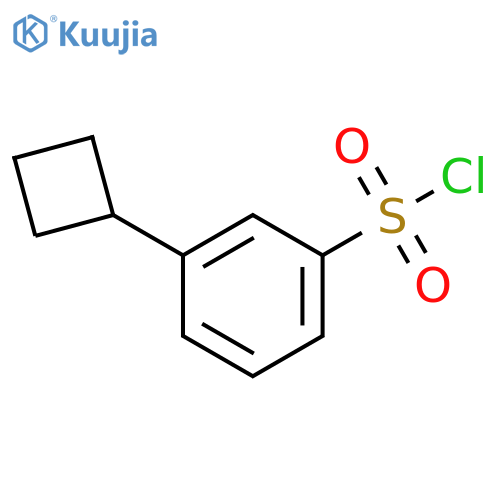 3-cyclobutylbenzene-1-sulfonyl chloride structure
