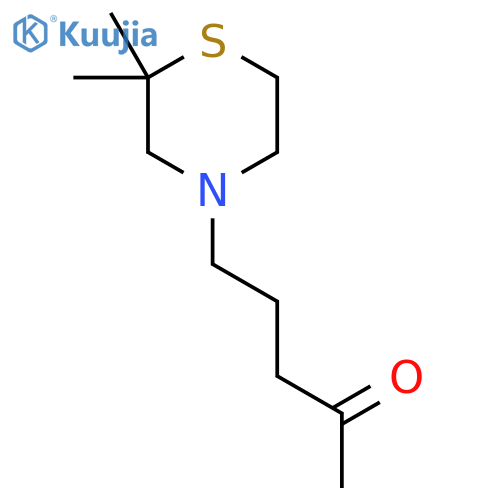 5-(2,2-Dimethylthiomorpholin-4-yl)pentan-2-one structure