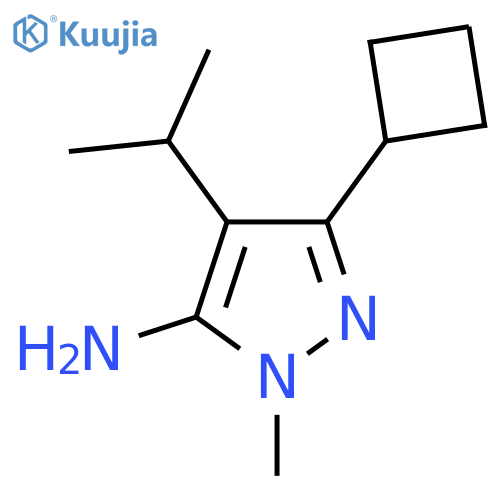 3-Cyclobutyl-1-methyl-4-(propan-2-yl)-1H-pyrazol-5-amine structure