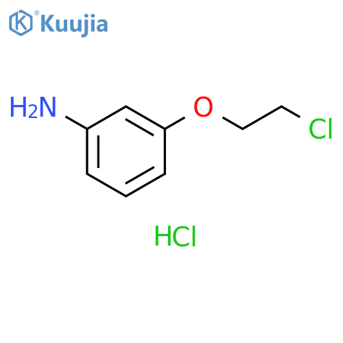 3-(2-chloroethoxy)phenylamine hydrochloride structure