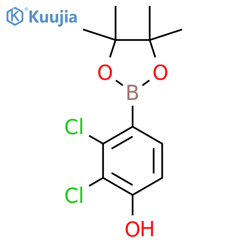 2,3-Dichloro-4-(4,4,5,5-tetramethyl-1,3,2-dioxaborolan-2-yl)phenol structure
