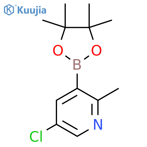 5-chloro-2-methyl-3-(tetramethyl-1,3,2-dioxaborolan-2-yl)pyridine structure