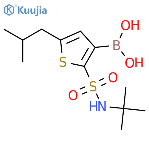 [2-(tert-butylsulfamoyl)-5-(2-methylpropyl)thiophen-3-yl]boronic acid structure