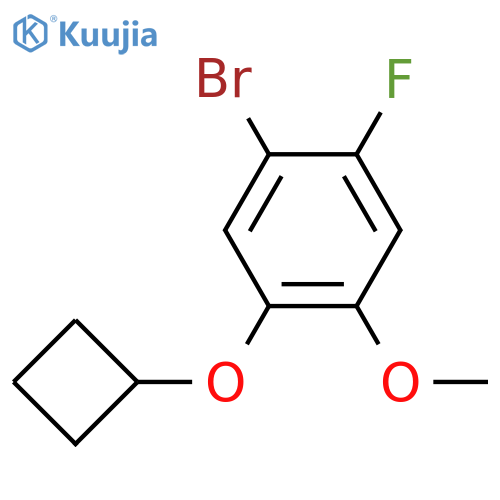 Benzene, 1-bromo-5-(cyclobutyloxy)-2-fluoro-4-methoxy- structure
