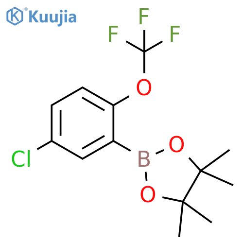 5-Chloro-2-(trifluoromethoxy)phenylboronic acid, pinacol ester structure