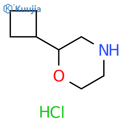 2-Cyclobutylmorpholine hydrochloride structure