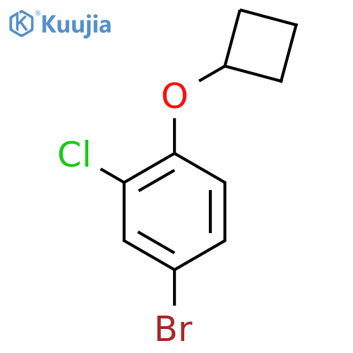 4-Bromo-2-chloro-1-cyclobutyloxybenzene structure