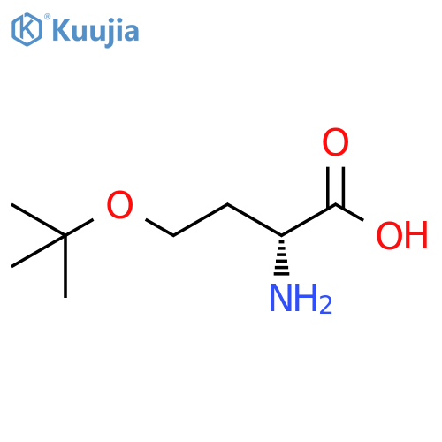 (2R)-2-amino-4-(tert-butoxy)butanoic acid structure