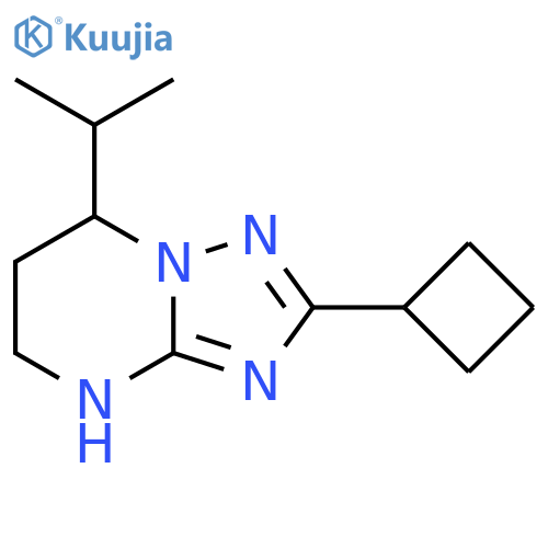 2-cyclobutyl-7-(propan-2-yl)-4H,5H,6H,7H-1,2,4triazolo1,5-apyrimidine structure
