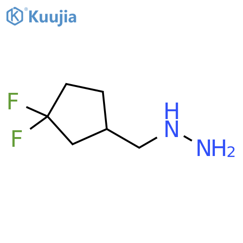(3,3-difluorocyclopentyl)methylhydrazine structure