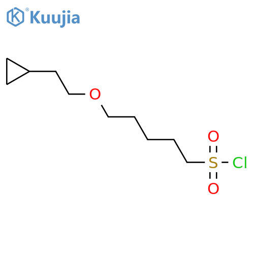 5-(2-cyclopropylethoxy)pentane-1-sulfonyl chloride structure