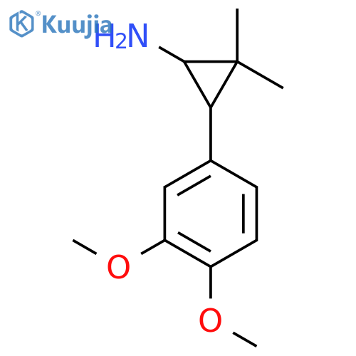 3-(3,4-dimethoxyphenyl)-2,2-dimethylcyclopropan-1-amine structure