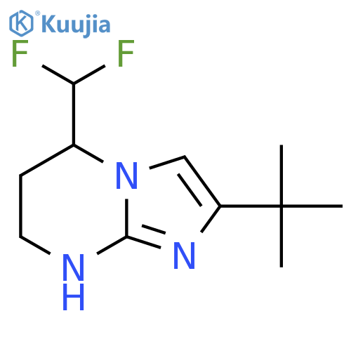 2-tert-butyl-5-(difluoromethyl)-5H,6H,7H,8H-imidazo1,2-apyrimidine structure