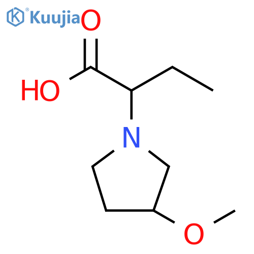 2-(3-methoxypyrrolidin-1-yl)butanoic acid structure