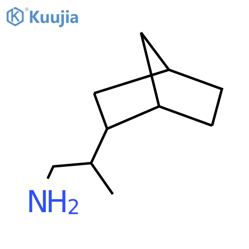 2-{bicyclo2.2.1heptan-2-yl}propan-1-amine structure