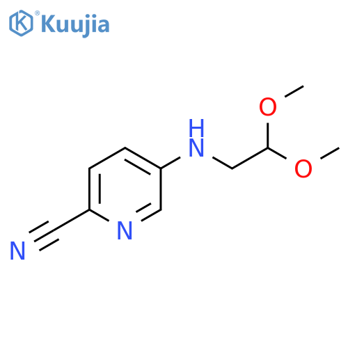 5-(2,2-dimethoxyethyl)aminopyridine-2-carbonitrile structure
