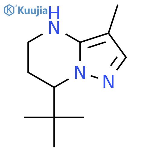 7-tert-butyl-3-methyl-4H,5H,6H,7H-pyrazolo1,5-apyrimidine structure