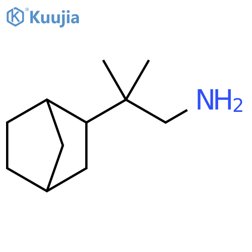 2-{bicyclo2.2.1heptan-2-yl}-2-methylpropan-1-amine structure