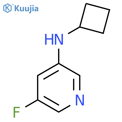 N-Cyclobutyl-5-fluoropyridin-3-amine structure